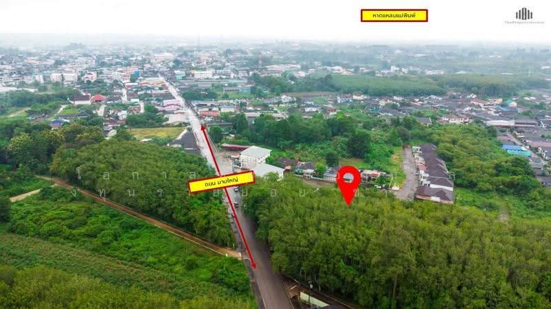 ที่ดินทำเลแกลง 5 ไร่ ครึ่ง ติดถนน มาบใหญ่, rayong, Thang Kwian, Klaeng, Rayong, , 9,012 sqm, Land For Sale, by โอกาสทองของนักลงทุนรายย่อย ขาย ที่ดินทำเลแกลง 5 ไร่ ครึ่ง ติดถนน มาบใหญ่ ทางเกวียน อำเภอแกลง ระยองพ, 500591255 - DDproperty.com