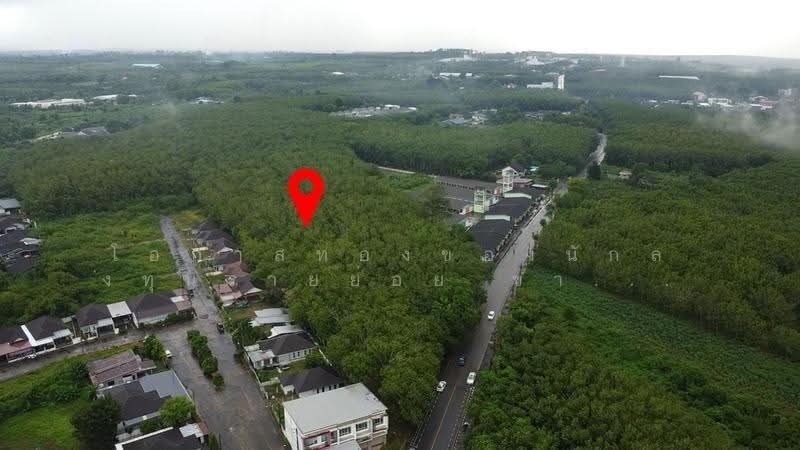 ที่ดินทำเลแกลง 5 ไร่ ครึ่ง ติดถนน มาบใหญ่, rayong, Thang Kwian, Klaeng, Rayong, , 9,012 sqm, Land For Sale, by โอกาสทองของนักลงทุนรายย่อย ขาย ที่ดินทำเลแกลง 5 ไร่ ครึ่ง ติดถนน มาบใหญ่ ทางเกวียน อำเภอแกลง ระยองพ, 500591255 - DDproperty.com