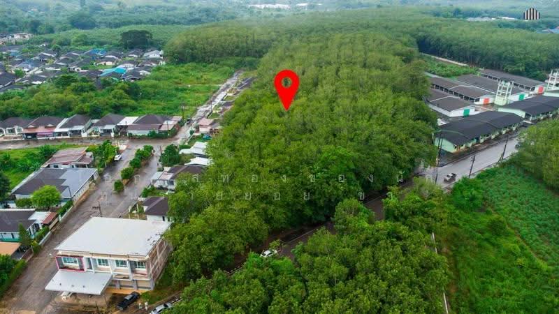ที่ดินทำเลแกลง 5 ไร่ ครึ่ง ติดถนน มาบใหญ่, rayong, Thang Kwian, Klaeng, Rayong, , 9,012 sqm, Land For Sale, by โอกาสทองของนักลงทุนรายย่อย ขาย ที่ดินทำเลแกลง 5 ไร่ ครึ่ง ติดถนน มาบใหญ่ ทางเกวียน อำเภอแกลง ระยองพ, 500591255 - DDproperty.com