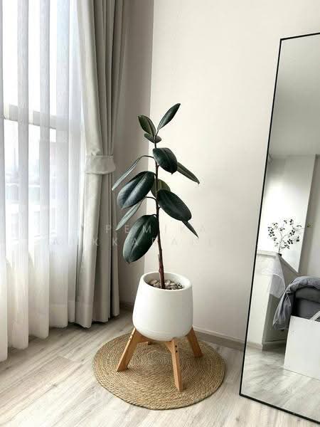 XT Huaikhwang, bangkok, 244 Ratchadaphisek Road, Huai Khwang, Bangkok, 1 Bedroom, 28 sqm, Condo For Sale, by Pemika Aukkaraleekul, 500591544 - DDproperty.com