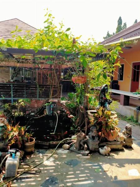 บ้าน 5-ห้องนอน, กรุงเทพ, แสนแสบ, มีนบุรี, กรุงเทพ, 495 ตร.ม., บ้านเดี่ยว ขาย, โดย Supatsorn Promsombut, 500591691 - DDproperty.com