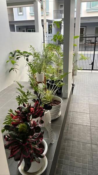 Life In The Garden Sukhumvit-Bangsaen : ไลฟ อิน เดอะ การ์เด้น สุขุมวิท-บางแสน, ชลบุรี, ซอยห้วยกะปิ 15, ห้วยกะปิ, เมืองชลบุรี, ชลบุรี, 156 ตร.ม., ทาวน์เฮ้าส์ ขาย, โดย Sirisongkran Kasemkun, 500591913 - DDproperty.com