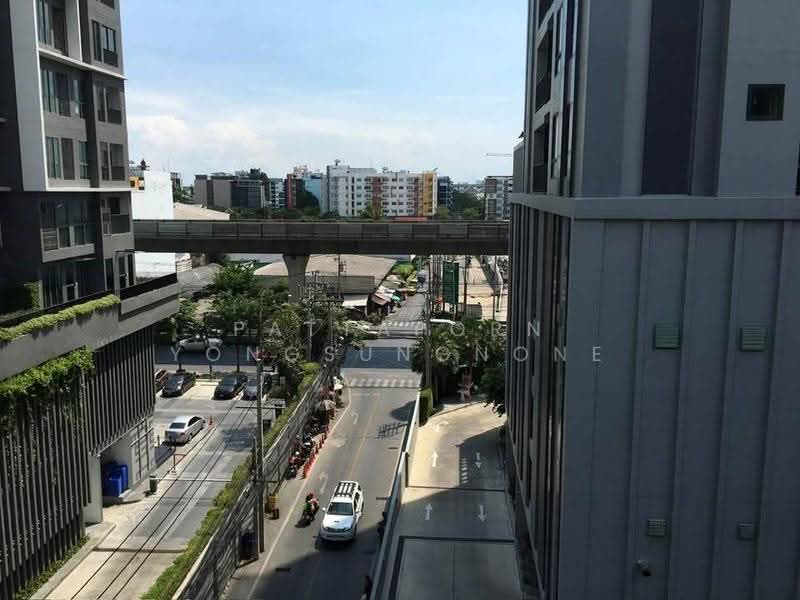 The President Sukhumvit 81 : เดอะ เพรสซิเดนท์ สุขุมวิท 81, กรุงเทพ, ซอยสุขุมวิท 81 ถนนสุขุมวิท, พระโขนงเหนือ, วัฒนา, กรุงเทพ, 35 ตร.ม., คอนโด ให้เช่า, โดย Pattaporn Yongsungnone, 500591929 - DDproperty.com