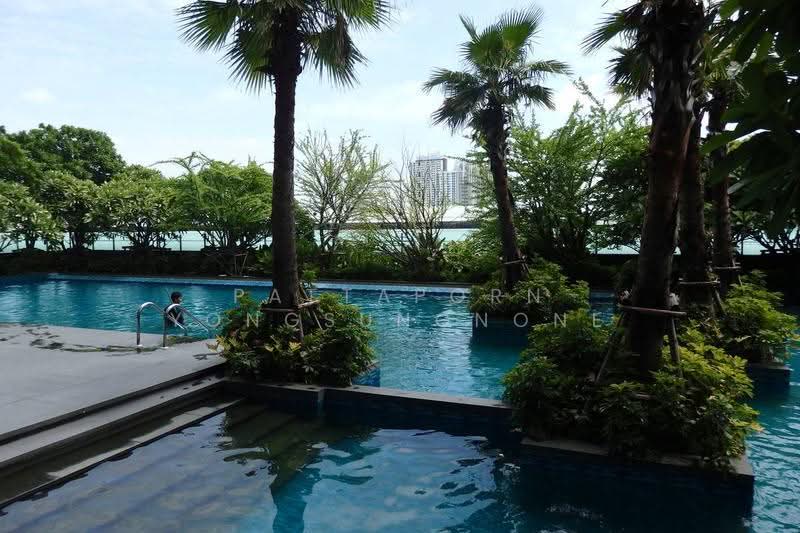 The Address Asoke : ดิ แอดเดรส อโศก, กรุงเทพ, 1655 ถนนเพชรบุรี แขวงมักกะสัน เขตราชเทวี กรุงเทพมหานคร, มักกะสัน, ราชเทวี, กรุงเทพ, 45 ตร.ม., คอนโด ให้เช่า, โดย Pattaporn Yongsungnone, 500592004 - DDproperty.com