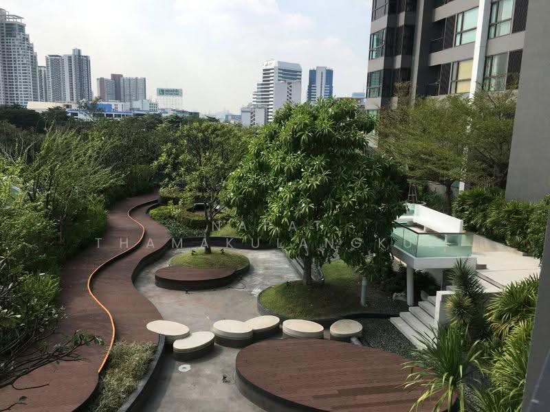 Rhythm Sukhumvit 44/1, bangkok, Sukhumvit Road, Phra Kanong, Khlong Toei, Bangkok, 1 Bedroom, 45 sqm, Condo For Rent, by Napat Thamakulangkul, 500592023 - DDproperty.com