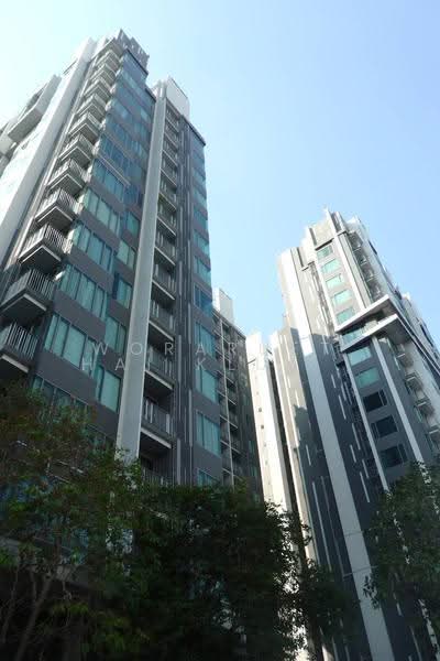 CEIL by Sansiri : ซีล บาย แสนสิริ, กรุงเทพ, 11 ซอยเอกมัย 12 ถนนสุขุมวิท 63, คลองตันเหนือ, วัฒนา, กรุงเทพ, 65 ตร.ม., คอนโด ให้เช่า, โดย Woraruethai Klumbun, 500592319 - DDproperty.com