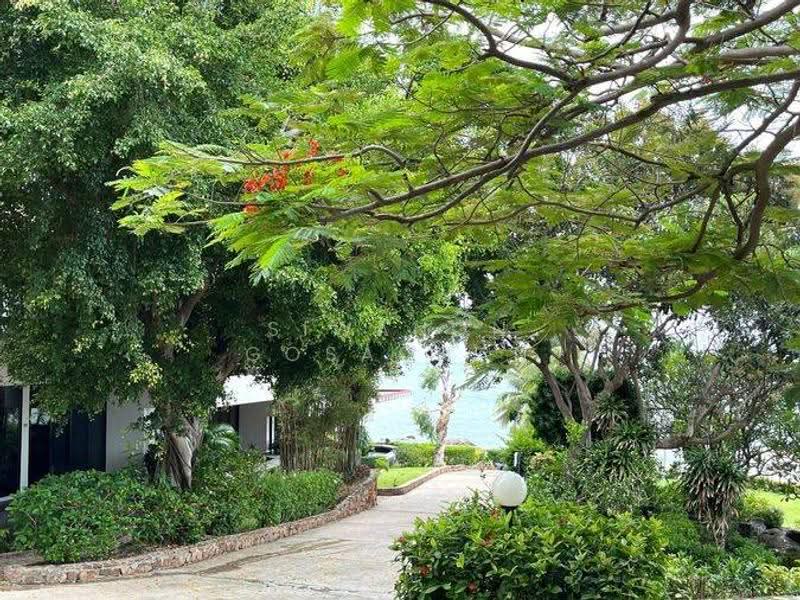 Garden Cliff 2 condominiums, chon-buri, 1 พัทยา-นาเกลือ, Ban Bung, Chon Buri (Pattaya), 3 Bedrooms, 124 sqm, Condo For Sale, by Siwanon Gosachan, 500592326 - DDproperty.com