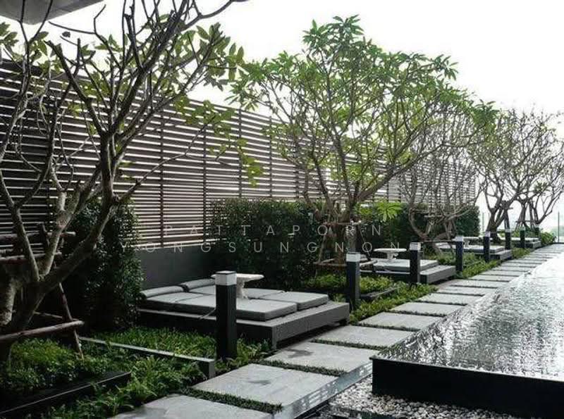 IDEO Q Phayathai, bangkok, 138 Phayathai Road, Thung Phaya Thai, Ratchathewi, Bangkok, 1 Bedroom, 36 sqm, Condo For Rent, by Pattaporn Yongsungnone, 500592515 - DDproperty.com