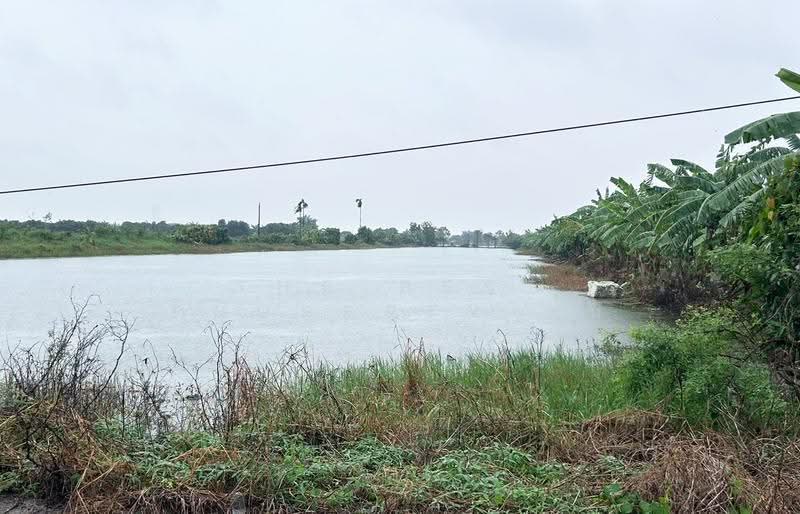 ที่ดินบางเสาธง สมุทรปราการ, samut-prakan, Bang Sao Thong, Samut Prakan, , 9,533 sqm, Land For Sale, by The Best Property ส้ม, 500592566 - DDproperty.com