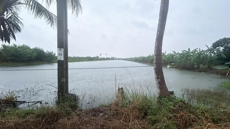 ที่ดินบางเสาธง สมุทรปราการ, samut-prakan, Bang Sao Thong, Samut Prakan, , 9,533 sqm, Land For Sale, by The Best Property ส้ม, 500592566 - DDproperty.com