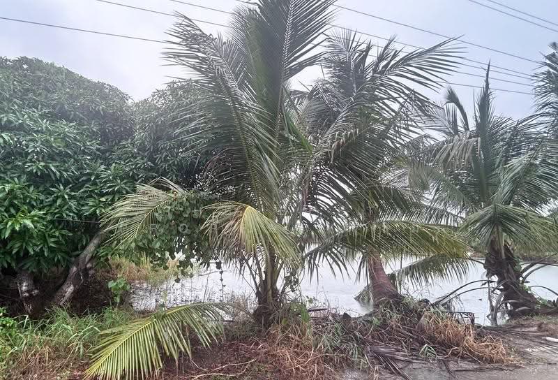 ที่ดินบางเสาธง สมุทรปราการ, samut-prakan, Bang Sao Thong, Samut Prakan, , 9,533 sqm, Land For Sale, by The Best Property ส้ม, 500592566 - DDproperty.com