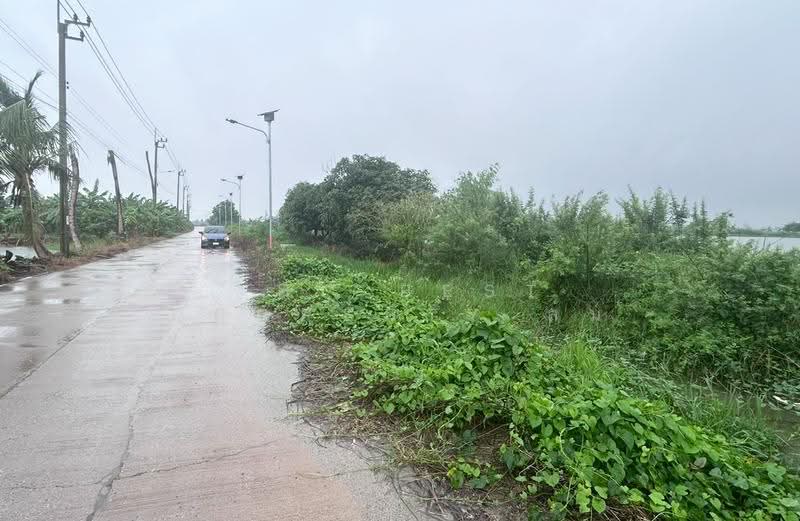 ที่ดินบางเสาธง สมุทรปราการ, samut-prakan, Bang Sao Thong, Samut Prakan, , 9,533 sqm, Land For Sale, by The Best Property ส้ม, 500592566 - DDproperty.com