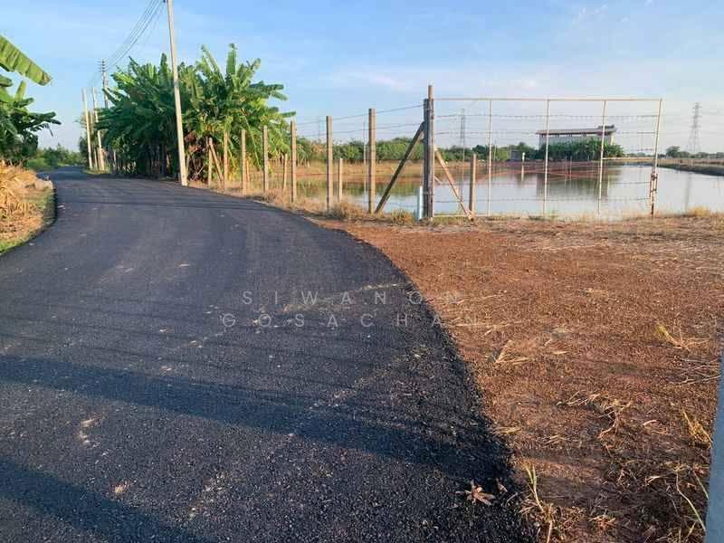 Studio House, chon-buri, Bang Hak, Phan Thong, Chon Buri (Pattaya), Studio, 47 sqm, Single Detached House For Sale, by Siwanon Gosachan, 500593249 - DDproperty.com