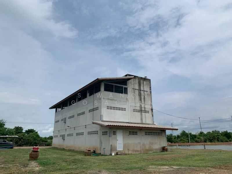 Studio House, chon-buri, Bang Hak, Phan Thong, Chon Buri (Pattaya), Studio, 47 sqm, Single Detached House For Sale, by Siwanon Gosachan, 500593249 - DDproperty.com
