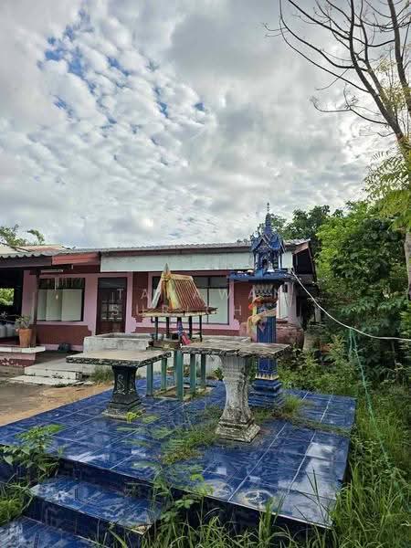 บ้าน 2-ห้องนอน, ชลบุรี, สัตหีบ, ชลบุรี, 66 ตร.ม., บ้านเดี่ยว ขาย, โดย Tanawan Surichai, 500593662 - DDproperty.com