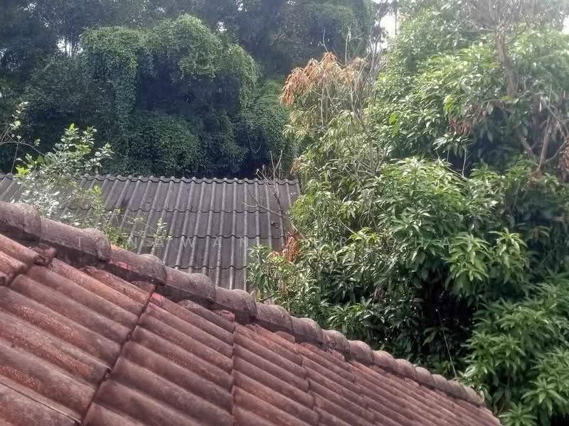 บ้าน 4-ห้องนอน, สุราษฎร์ธานี, มะขามเตี้ย, เมืองสุราษฎร์ธานี, สุราษฎร์ธานี, 220 ตร.ม., บ้านเดี่ยว ขาย, โดย Tanawan Surichai, 500593686 - DDproperty.com