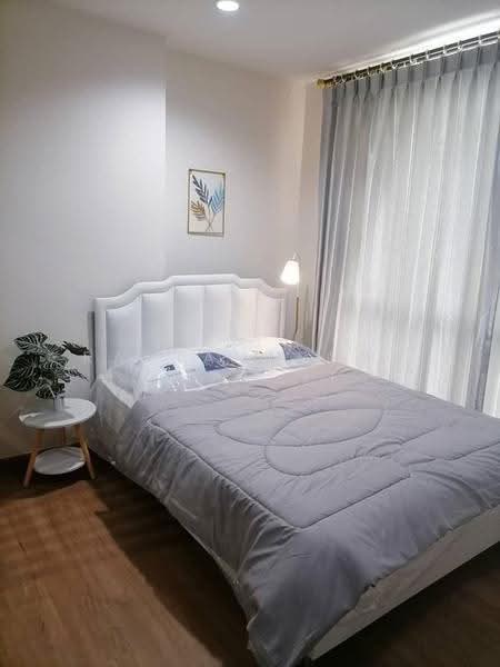 The Tree Bang Po Station, bangkok, Pracharat Sai 1 Road, Bang Sue, Bangkok, 1 Bedroom, 30 sqm, Condo For Rent, by Rattanaporn Khamlit, 500593687 - DDproperty.com