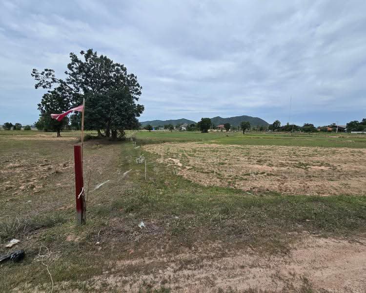 Land, kanchanaburi, ถนนหมายเลข 324, Nong Khao, Tha Muang, Kanchanaburi, , 31,280 sqm, Land For Sale, by ณัชรัสย์ จิระวิทยาบุญ, 500593713 - DDproperty.com