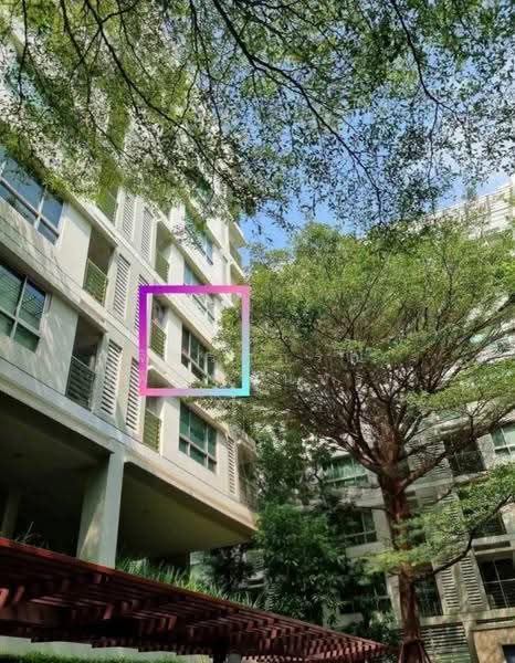 The Room Sukhumvit 79 : เดอะ รูม สุขุมวิท 79, กรุงเทพ, 99 ถนนสุขุมวิท 79, พระโขนงเหนือ, วัฒนา, กรุงเทพ, 60 ตร.ม., คอนโด ให้เช่า, โดย จิตราภรณ์ พิมพ์จันทร์, 500593736 - DDproperty.com
