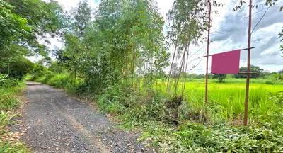 ขาย - ที่ดินบรบือ มหาสารคาม, มหาสารคาม