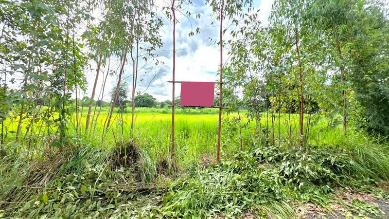 ที่ดินบรบือ มหาสารคาม, maha-sarakham, Kam Phi, Borabu, Maha Sarakham, , 4,868 sqm, Land For Sale, by The Best Property ทองใบ, 500593787 - DDproperty.com