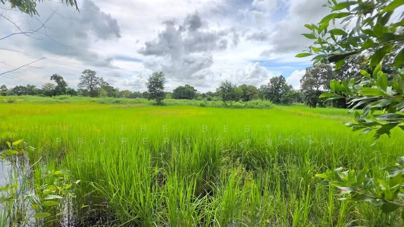 ที่ดินบรบือ มหาสารคาม, maha-sarakham, Kam Phi, Borabu, Maha Sarakham, , 4,868 sqm, Land For Sale, by The Best Property ทองใบ, 500593787 - DDproperty.com