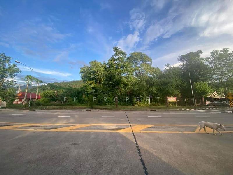 ขายที่ดิน อ.แม่ฮ่องสอน 150 ตร.วา ใกล้ถนนคนเดิน โฉนดครุฑแดง น.ส 4จ, แม่ฮ่องสอน, จองคำ, เมืองแม่ฮ่องสอน, แม่ฮ่องสอน, 600 ตร.ม., ที่ดิน ขาย, โดย Lek Property, 500593798 - DDproperty.com