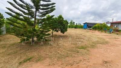 ขาย - บ้าน 2-ห้องนอน, ชลบุรี