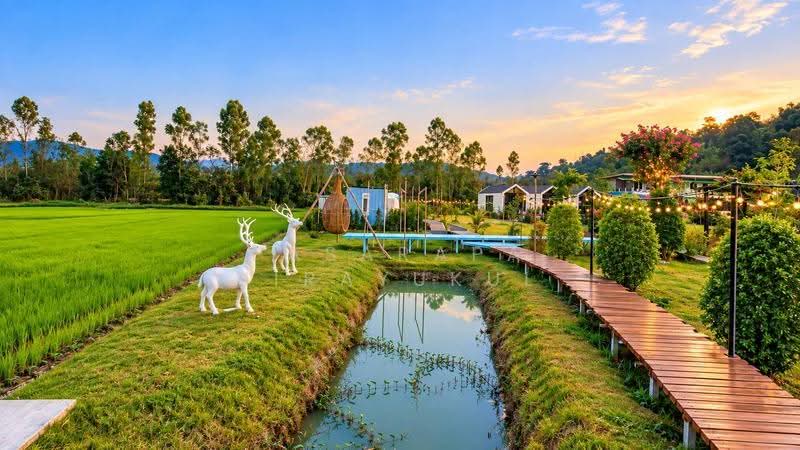 ขาย! รีสอร์ท&คาเฟ่ นครนายก, นครนายก, หินตั้ง, เมืองนครนายก, นครนายก, 1,536 ตร.ม., กิจการ ขาย, โดย Pasarapa Jirayukul, 500593935 - DDproperty.com