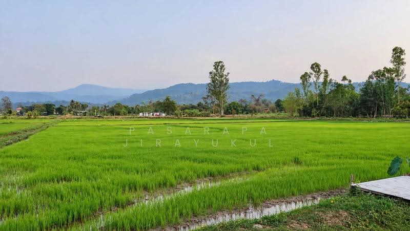 Sale! Resort&cafe Nakhonnayok, nakhon-nayok, Hin Tung, Muang Nakhon Nayok, Nakhon Nayok, , 1,536 sqm, Business For Sale, by Pasarapa Jirayukul, 500593935 - DDproperty.com