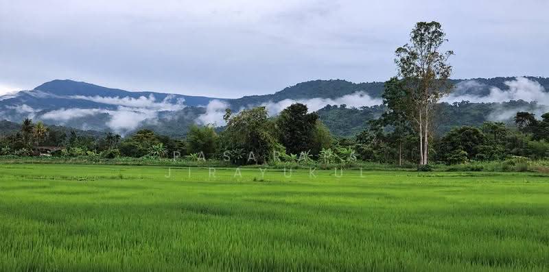 ขาย! รีสอร์ท&คาเฟ่ นครนายก, นครนายก, หินตั้ง, เมืองนครนายก, นครนายก, 1,536 ตร.ม., กิจการ ขาย, โดย Pasarapa Jirayukul, 500593935 - DDproperty.com