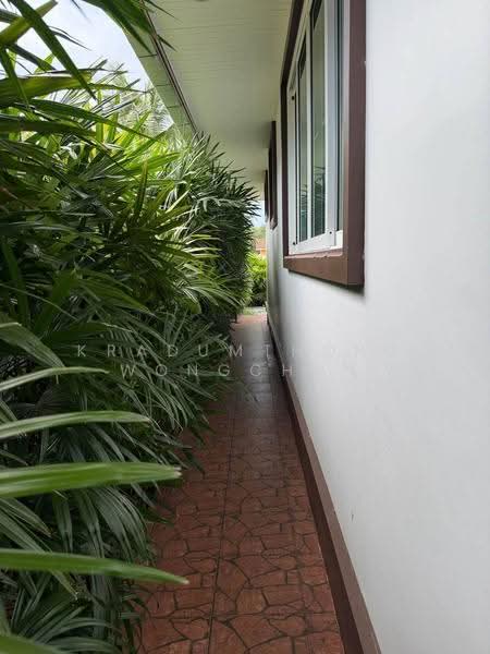 undefined, prachuap-khiri-khan, Wang-Pong, Pran Buri, Prachuap Khiri Khan, 2 Bedrooms, 147 sqm, Villa For Rent, by Kradumthong Wongchan, 500594060 - DDproperty.com