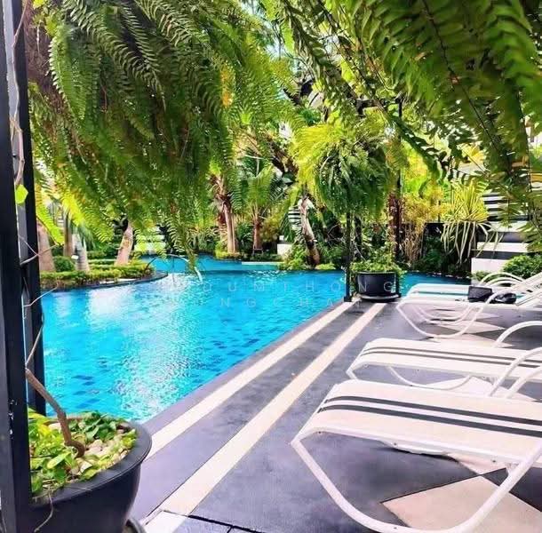The Riviera Monaco, chon-buri, NaJomtien Soi 4, Sukhumvit Rd, Na Chom Thian, Sattahip, Chon Buri (Pattaya), 2 Bedrooms, 91 sqm, Condo For Rent, by Kradumthong Wongchan, 500594163 - DDproperty.com
