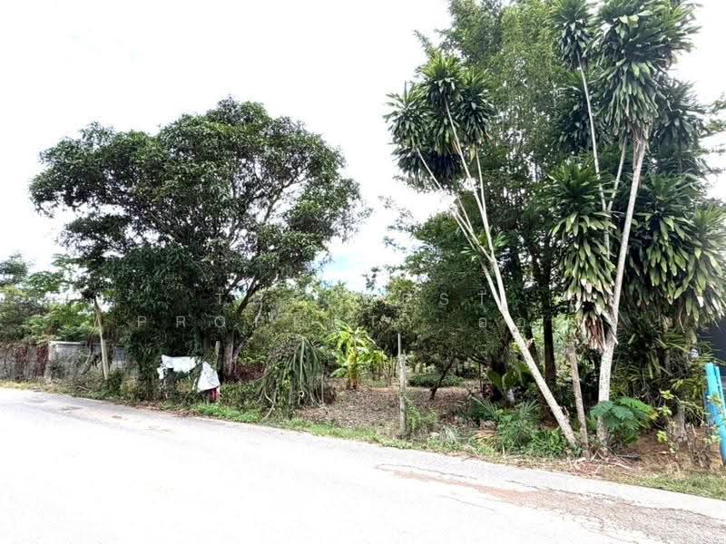 ที่ดินสัตหีบ ชลบุรี, Chon Buri (Pattaya), Bang Sa-re, Sattahip, Chon Buri (Pattaya), , 800 sqm, Land For Sale, by The Best Property อ้อย, 500594234 - DDproperty.com