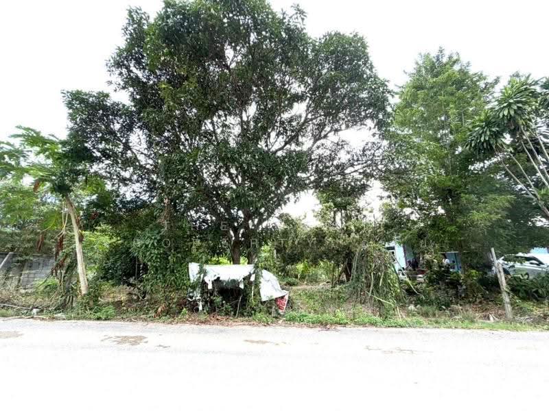 ที่ดินสัตหีบ ชลบุรี, Chon Buri (Pattaya), Bang Sa-re, Sattahip, Chon Buri (Pattaya), , 800 sqm, Land For Sale, by The Best Property อ้อย, 500594234 - DDproperty.com