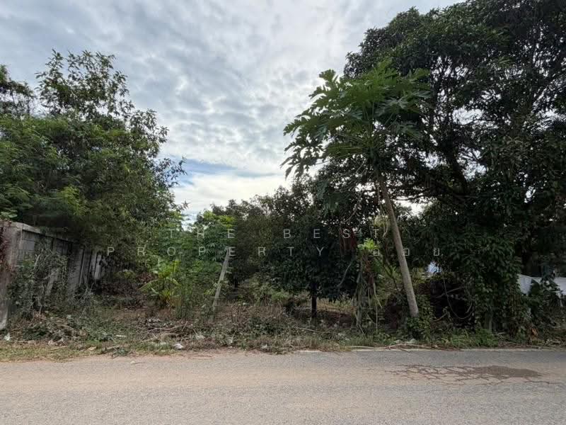 ที่ดินสัตหีบ ชลบุรี, Chon Buri (Pattaya), Bang Sa-re, Sattahip, Chon Buri (Pattaya), , 800 sqm, Land For Sale, by The Best Property อ้อย, 500594234 - DDproperty.com