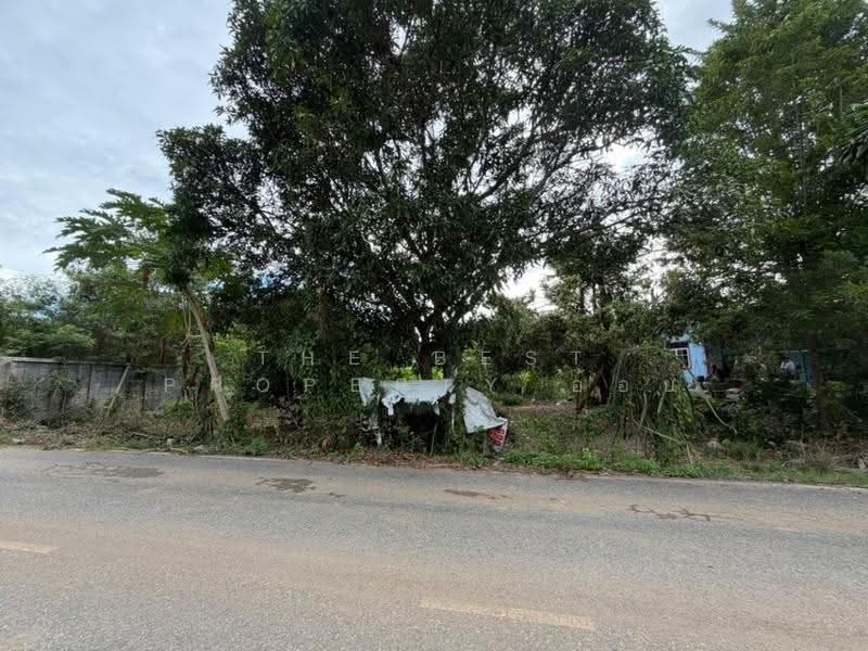 ที่ดินสัตหีบ ชลบุรี, Chon Buri (Pattaya), Bang Sa-re, Sattahip, Chon Buri (Pattaya), , 800 sqm, Land For Sale, by The Best Property อ้อย, 500594234 - DDproperty.com