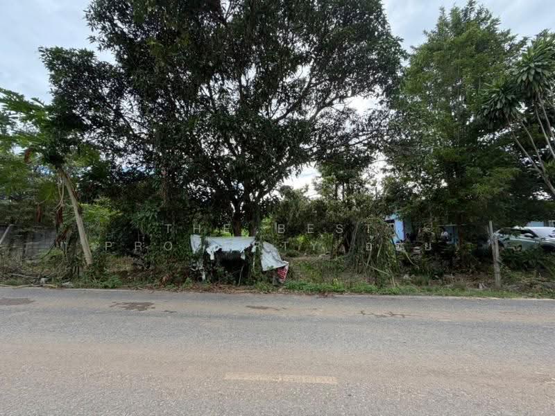ที่ดินสัตหีบ ชลบุรี, Chon Buri (Pattaya), Bang Sa-re, Sattahip, Chon Buri (Pattaya), , 800 sqm, Land For Sale, by The Best Property อ้อย, 500594234 - DDproperty.com