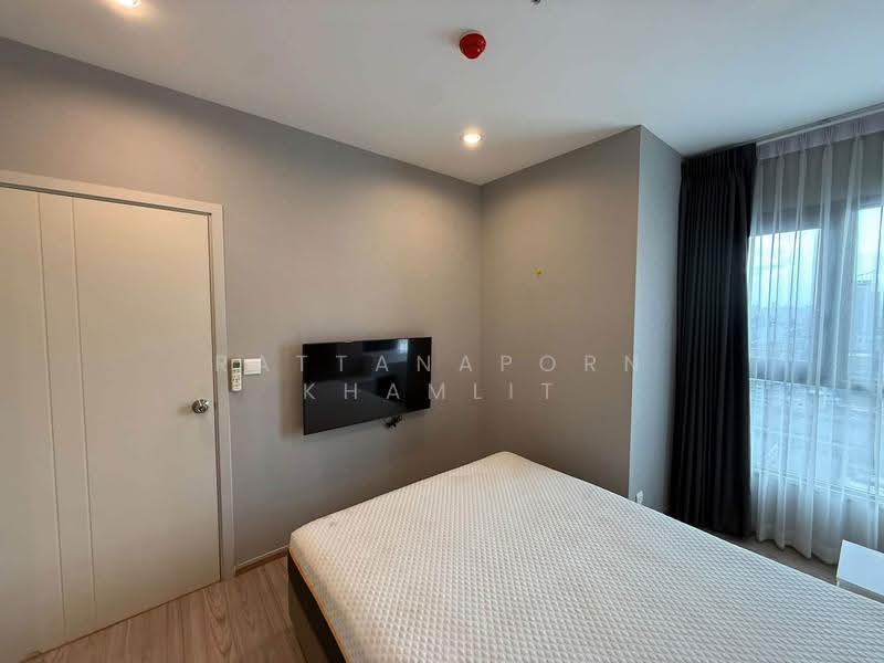 The Tree Hua Mak, bangkok, Ramkhamhaeng Road, Hua Mak, Bang Kapi, Bangkok, 1 Bedroom, 28 sqm, Condo For Rent, by Rattanaporn Khamlit, 500594395 - DDproperty.com