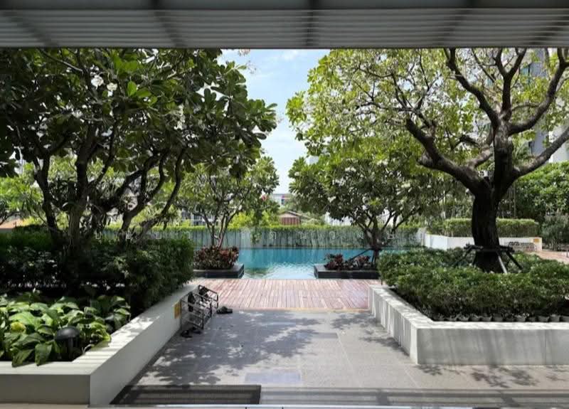 The Room Sukhumvit 62, bangkok, 2288 Sukhumvit Road, Bang Chak, Phra Khanong, Bangkok, 1 Bedroom, 45 sqm, Condo For Rent, by บุษบา รัตนวงษ์ชัย, 500594434 - DDproperty.com