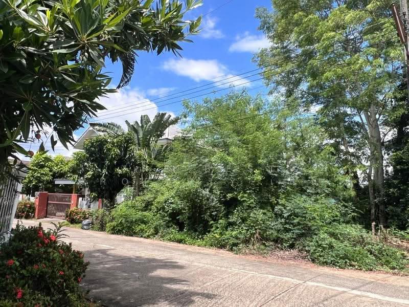 ที่ดินสันกำแพง เชียงใหม่, เชียงใหม่, บวกค้าง, สันกำแพง, เชียงใหม่, 328 ตร.ม., ที่ดิน ขาย, โดย The Best Property เล็ก, 500594446 - DDproperty.com