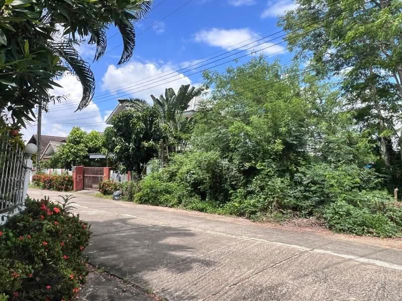 ที่ดินสันกำแพง เชียงใหม่, chiang-mai, Buak Sang, San Kamphaeng, Chiang Mai, , 328 sqm, Land For Sale, by The Best Property เล็ก, 500594446 - DDproperty.com