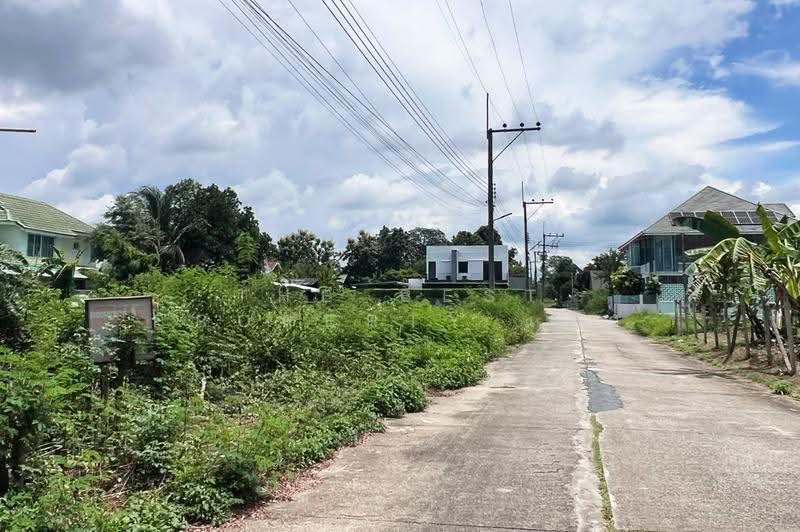 ที่ดินสันกำแพง เชียงใหม่, เชียงใหม่, บวกค้าง, สันกำแพง, เชียงใหม่, 328 ตร.ม., ที่ดิน ขาย, โดย The Best Property เล็ก, 500594446 - DDproperty.com