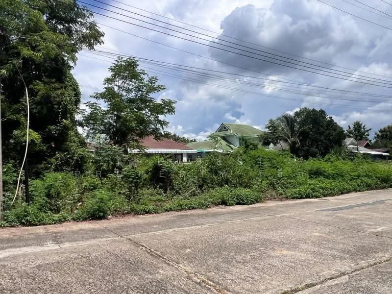 ที่ดินสันกำแพง เชียงใหม่, chiang-mai, Buak Sang, San Kamphaeng, Chiang Mai, , 328 sqm, Land For Sale, by The Best Property เล็ก, 500594446 - DDproperty.com