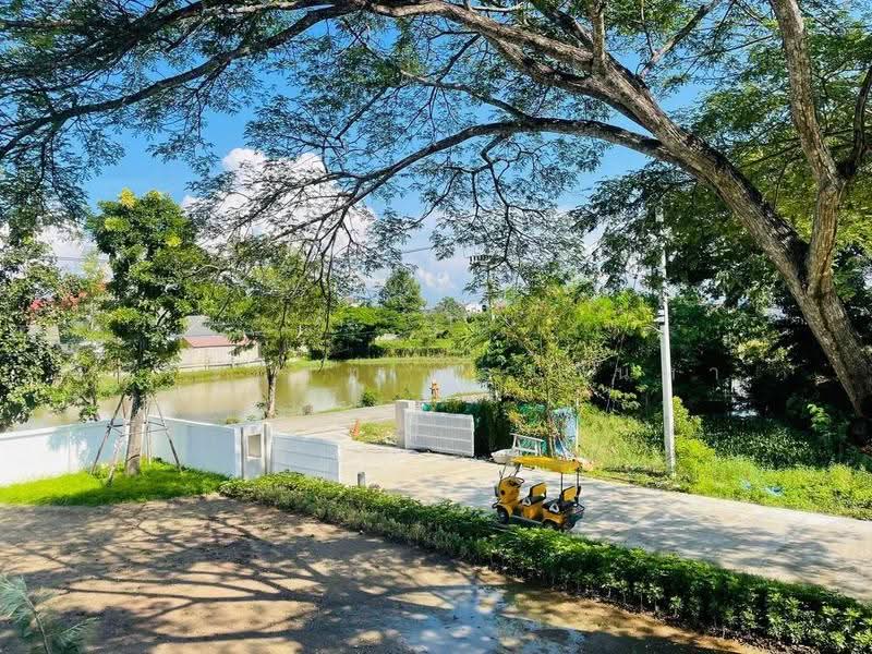 For Sale: White Villa-Luxury Teak House,3 Beds,Pool,Mae Jo Chiag Mai, chiang-mai, แม่โจ้-พร้าว, Nong Harn, San Sai, Chiang Mai, 3 Bedrooms, 200 sqm, Single Detached House For Sale, by จีระนันท์ หล้ากันหา, 500594475 - DDproperty.com