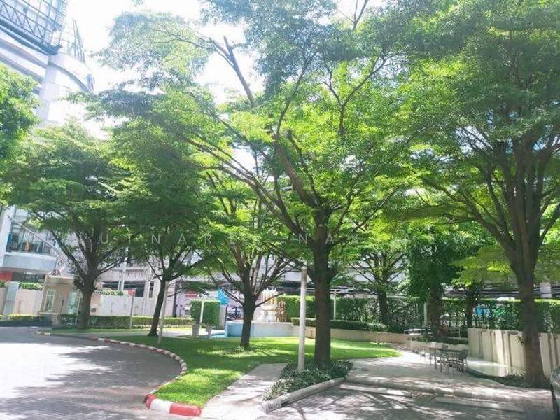 IDEO Verve Sukhumvit : ไอดีโอ เวิร์ฟ สุขุมวิท, กรุงเทพ, 2077 ถนนสุขุมวิท, พระโขนงเหนือ, วัฒนา, กรุงเทพ, 31 ตร.ม., คอนโด ให้เช่า, โดย Nutnaree Nakkaew, 500594565 - DDproperty.com