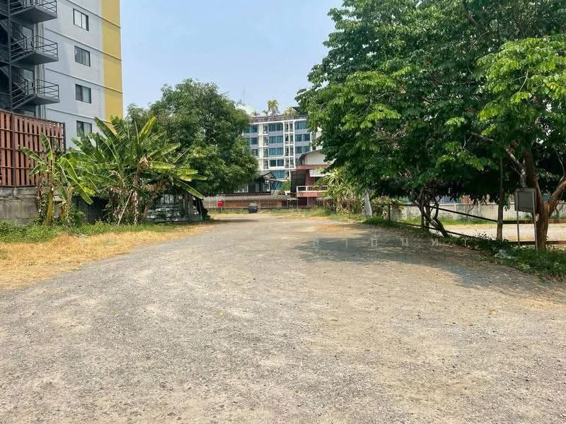 For Sale/Rent: Corner Townhome,3 Units, Prime CMU-Nimman Location,Chiang Mai 4-50 Car Parking, chiang-mai, เส้นคันคลอง, Su Thep, Muang Chiang Mai, Chiang Mai, , 400 sqm, Shophouse For Sale, by จีระนันท์ หล้ากันหา, 500594837 - DDproperty.com