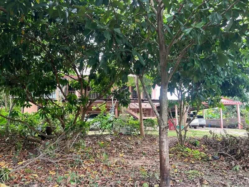 4-BR House, chon-buri, Huai Yai, Bang Lamung (Pattaya), Chon Buri (Pattaya), 4 Bedrooms, 382 sqm, Single Detached House For Sale, by Boonyanuch Unna, 500594846 - DDproperty.com