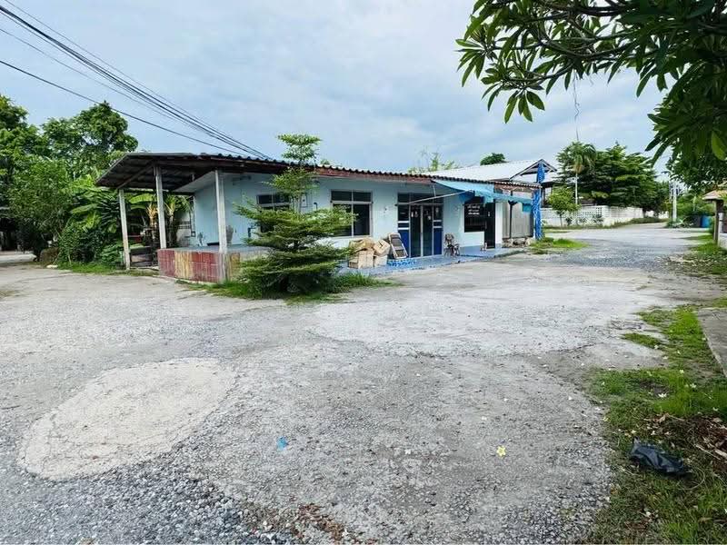 5-BR House, chon-buri, Na Pa, Muang Chon Buri, Chon Buri (Pattaya), 5 Bedrooms, 377 sqm, Single Detached House For Sale, by Boonyanuch Unna, 500594919 - DDproperty.com