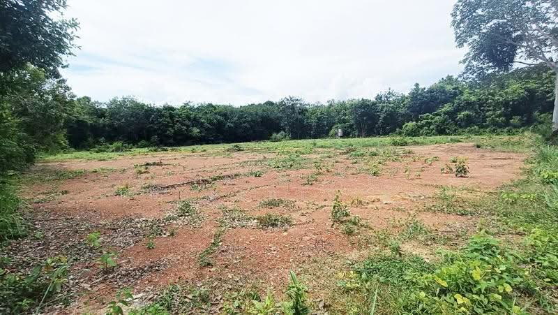 ที่ดินแกลง ระยอง, ระยอง, ชากพง, แกลง, ระยอง, 7,000 ตร.ม., ที่ดิน ขาย, โดย The Best Property จุ้ย, 500595259 - DDproperty.com